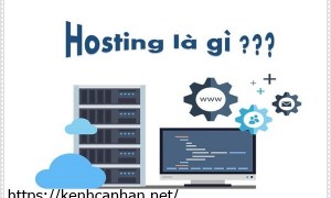Tư vấn chọn dịch vụ Hosting giá rẻ